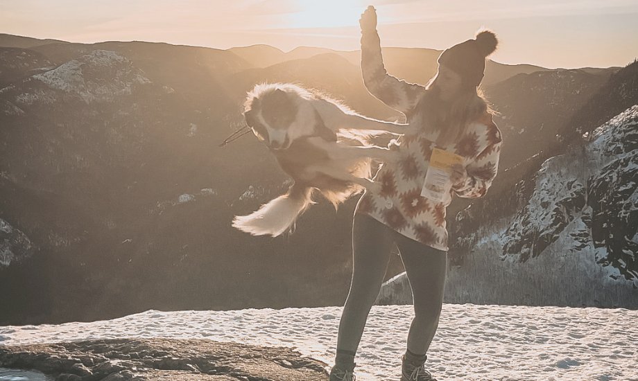 6 benefits of trick training - healthybud USA